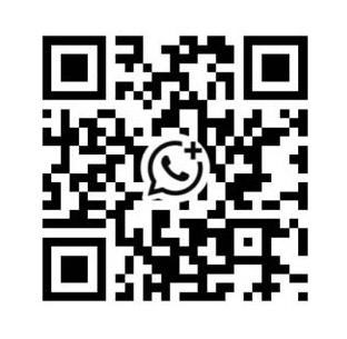 Haomei International Supply Chain
